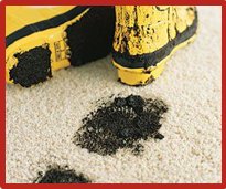 Remove Your Stains Now Carpet Stain Removal