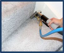 efficient specialists Carpet Steam Cleaners